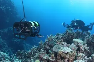 Captivating Archeological Exploration - TIGHAR Amelia Earhart 7 Seabotix Robot Rover Ocean Exploration