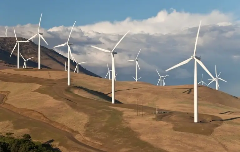 Wind Farm Energy Production