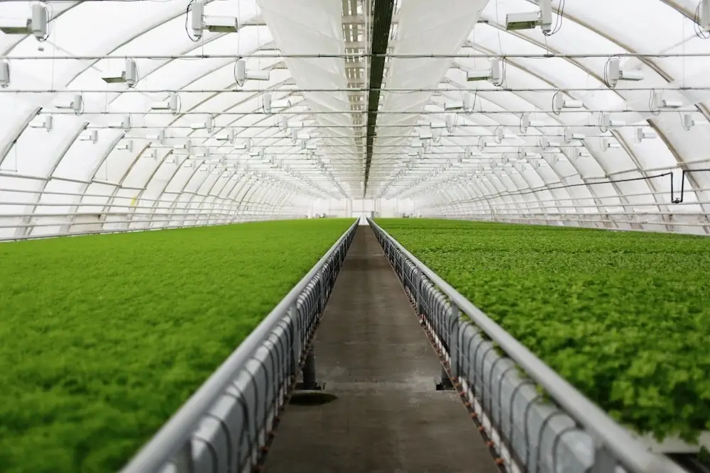 Greenhouse Automation Incredible Sustainability Agriculture 2024 1 Greenhouse Water Management powered by EnableIT PoE Technology