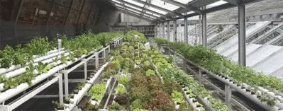 Intelligent Farming with PoE Extenders