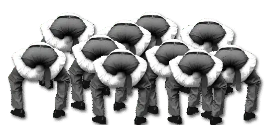 Liberal Jask asses