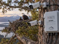 Wildlife Camera by Enable-IT PoE Extenders